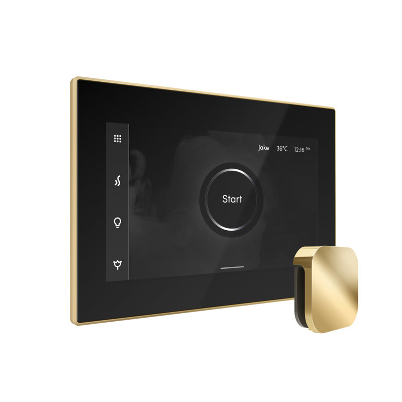 Ensemble de commande de douche à vapeur Xdream Max avec contrôle iSteamX et tête de vapeur, Laiton poli