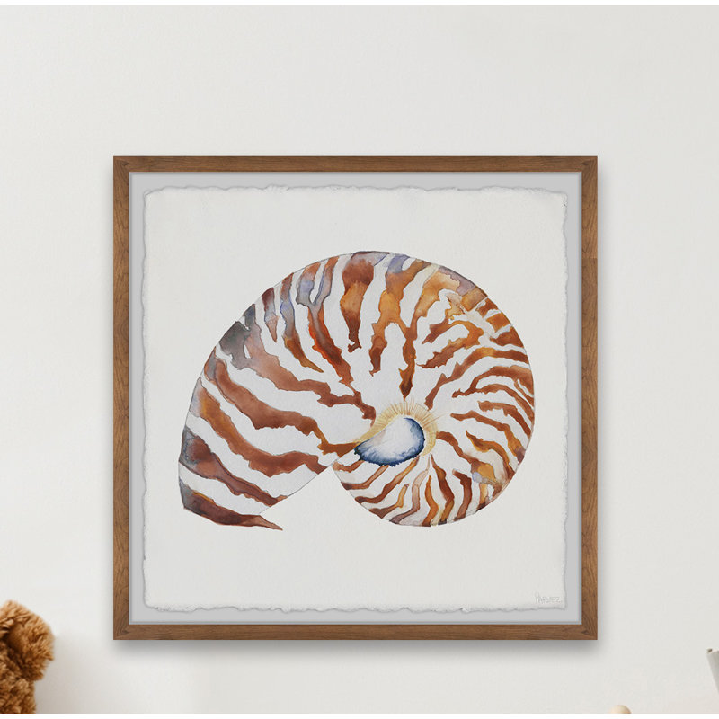 «Tiger Shell», reproduction encadrée, H 12 po x l 12 po x P 1,5 po