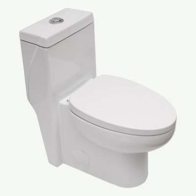 Ceramic One Piece Toilet,Dual Flush With Soft Clsoing Seat