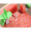 Haven Stainless Steel Slicer
