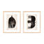 Blackbird Print by Eleni Psyllaki For Paradissi Digital Art-862751955-862751954