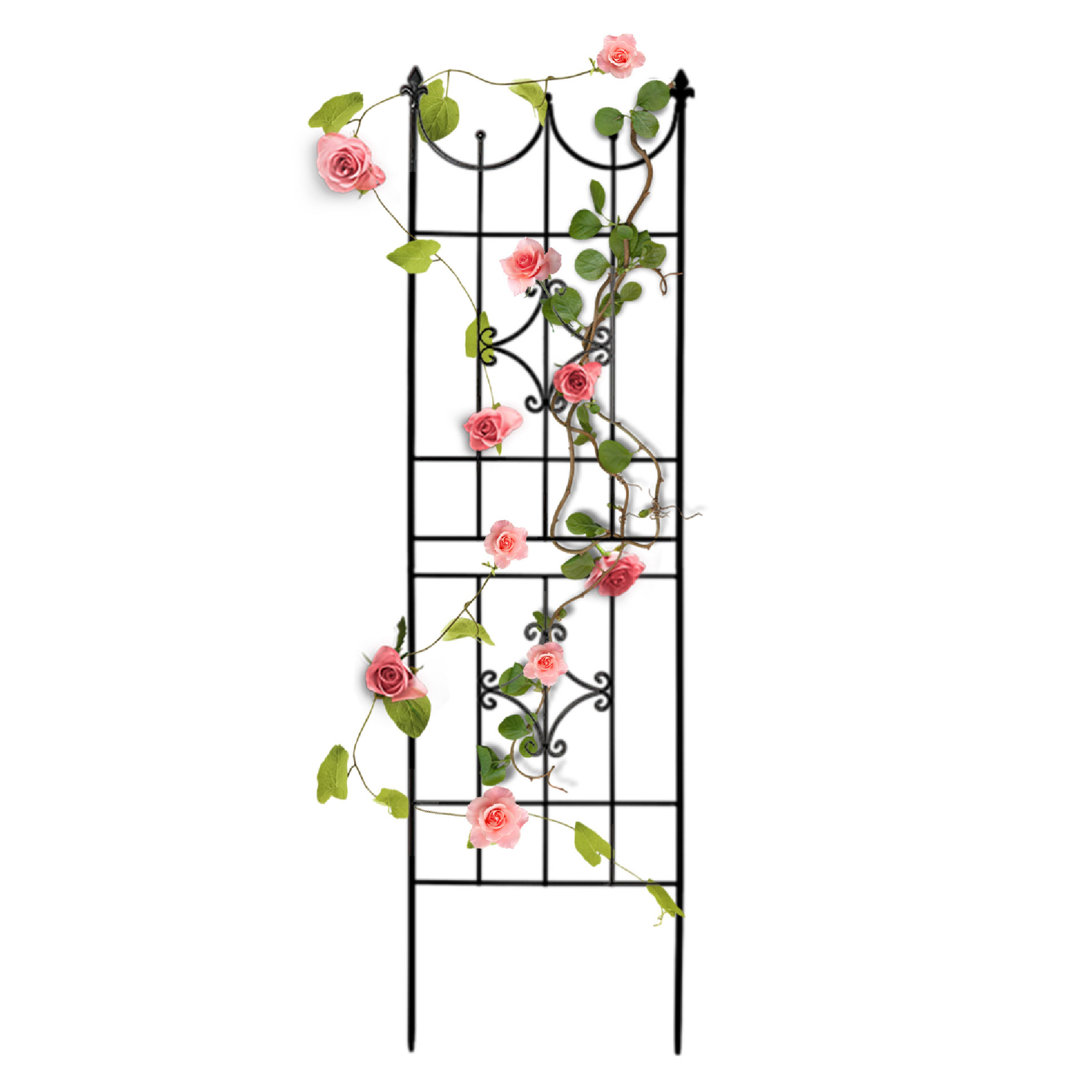 Eloghosa 70'' H x 20'' W Lattice Panel Trellis Winston Porter
