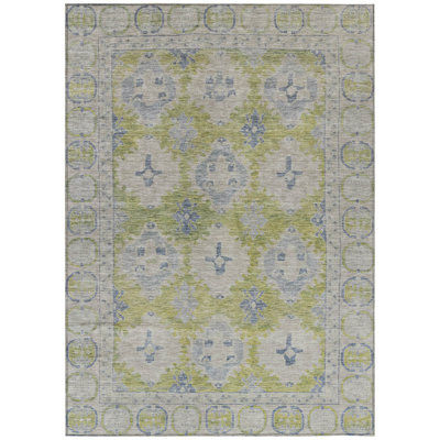 Machine Washable Indoor/Outdoor Xhevrie Aloe Rug