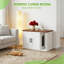 Litter Box-1368030932