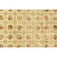 Elegance Oriental Area Rug-1689137799