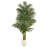 72'' Faux Palm Tree in Clay Planter