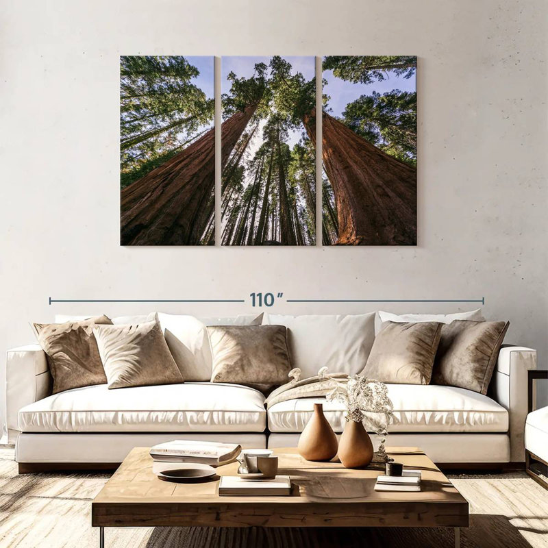 Sequoias From Below, 48" H x 74" W