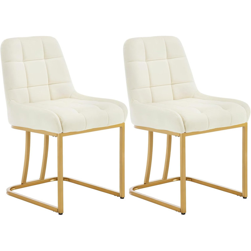 Aunna 49cm H Velvet Upholstered Metal Upholstered Back Cantilever Chair, 2, Cream