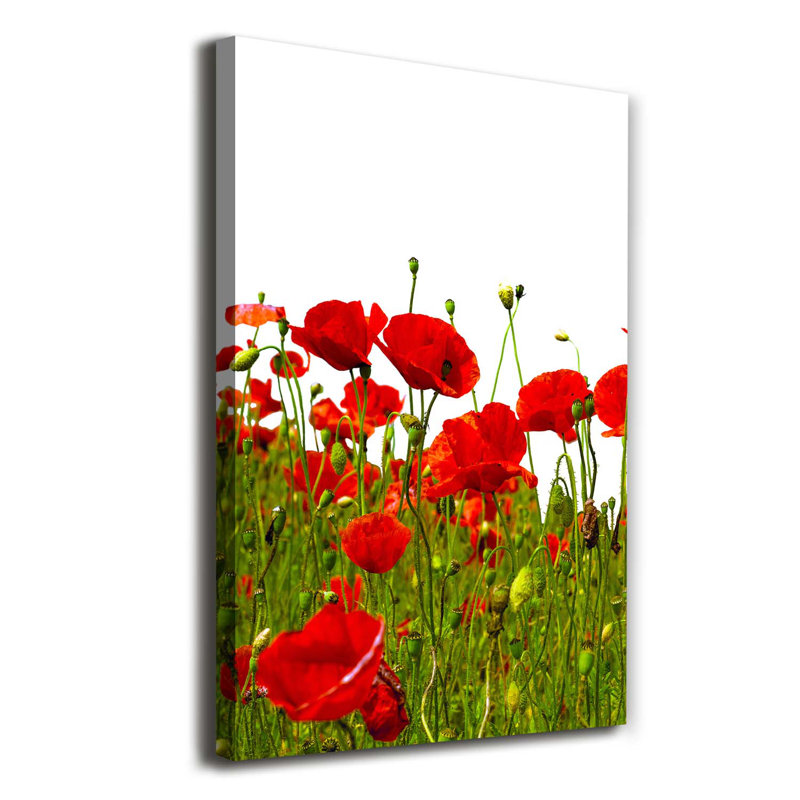 Field Of Poppies - Wrapped Canvas Print