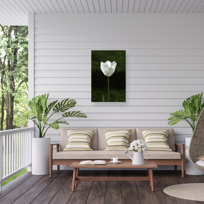 Engin Akyurt  White Tulip Close Up 2 Outdoor  Canvas