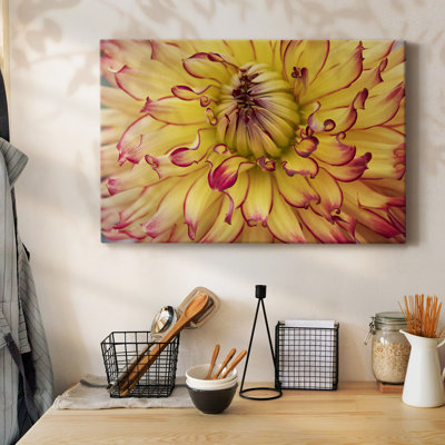Toile tendue Blooms II-Gallery