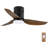 Kyale 40'' Ceiling Fan with LED Lights