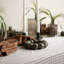 Assiette brillante-109848220