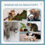 Jazmyn 114cm H Cat Tree