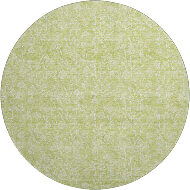Premium Machine Washable Prisco Aloe Rug
