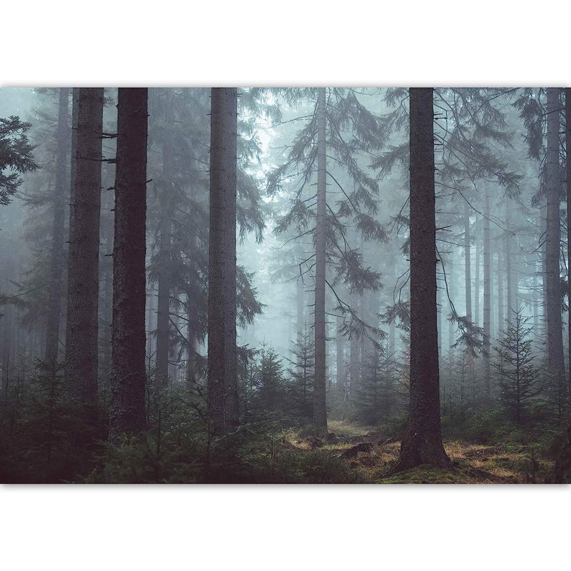 Grey Landscape of Forest Wall Mural, 100" L x 144" W
