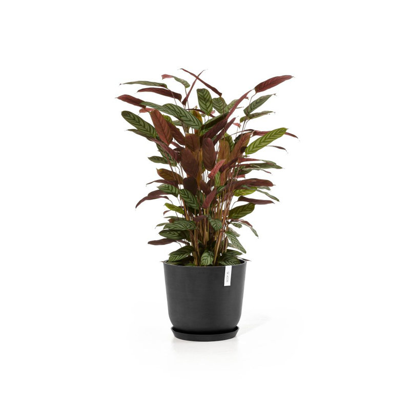 Jardinières en pot, Gris foncé, H 13,78 po x l 13,78 po x P 12,01 po