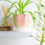 Nicola Spring - Reactive Glaze Plant Pot-63880882-63880883