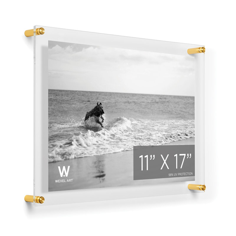 Clear UV-Grade Acrylic Modern Floating Picture Frame, Gold, 11" W x 17" H