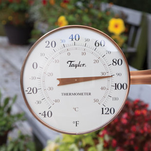 Ivy Indoor/Outdoor Wall Thermometer - Copper Verdigris