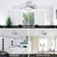 Taunya 27'' Ceiling Fan with LED Lights