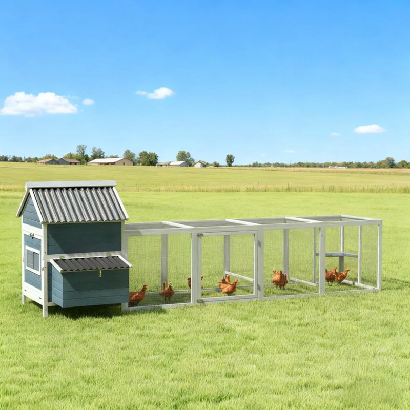 Poulailler pour 10 à 15 poulets