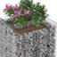 Planter-1473495514