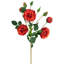 Jets de roses-86731925