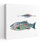 Art contemporain «Catch Of The Day Viii» avec poisson bleu