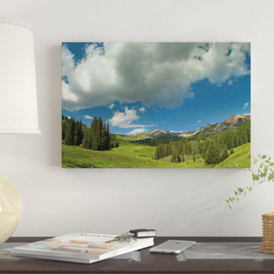 " Stand Of Conifers In The Elk Mountains Near Crested Butte, Colorado " Color Photography Print