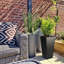Plant Pot-788838800-795294482