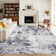 Abstract Machine Washable Rug for Living Room Soft Bedroomm Rug Non Shedding Indoor Floor Mats Modern Contemporary Colorful Office Carpet Stain Resistant Throw Carpet