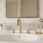 Luster High-Arc Widespread Bathroom Sink Faucet 2-Handle with Drain Assembly-119321866