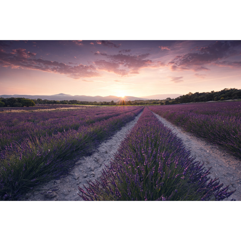 Wrapped Canvas Print, 50.8 cm H x 76.2 cm W