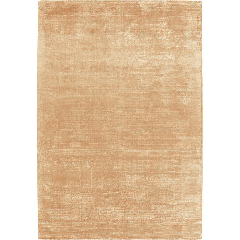Bintliff Area Rug, Rectangle 200 x 300cm