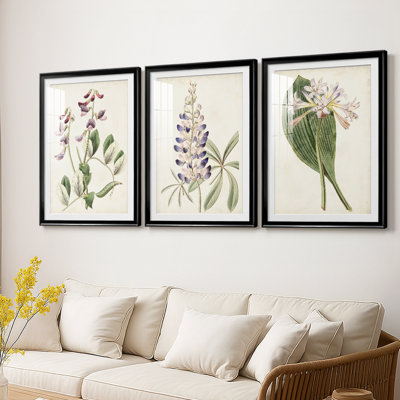 Antique Botanical Collection I  -Custom Framed  Premium Print W Matt - 3 Pieces
