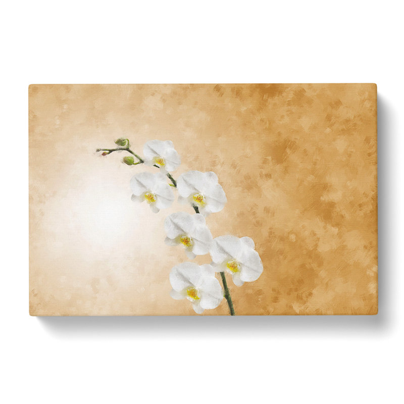 White Orchid Flowers - Wrapped Canvas Print, 60cm H x 91cm W x 3cm D
