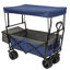 Collapsible Foldable Wagon With Canopy