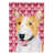 Bull-terrier (brun et blanc)