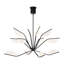 Belterra 38 Chandelier-423539928-423539929