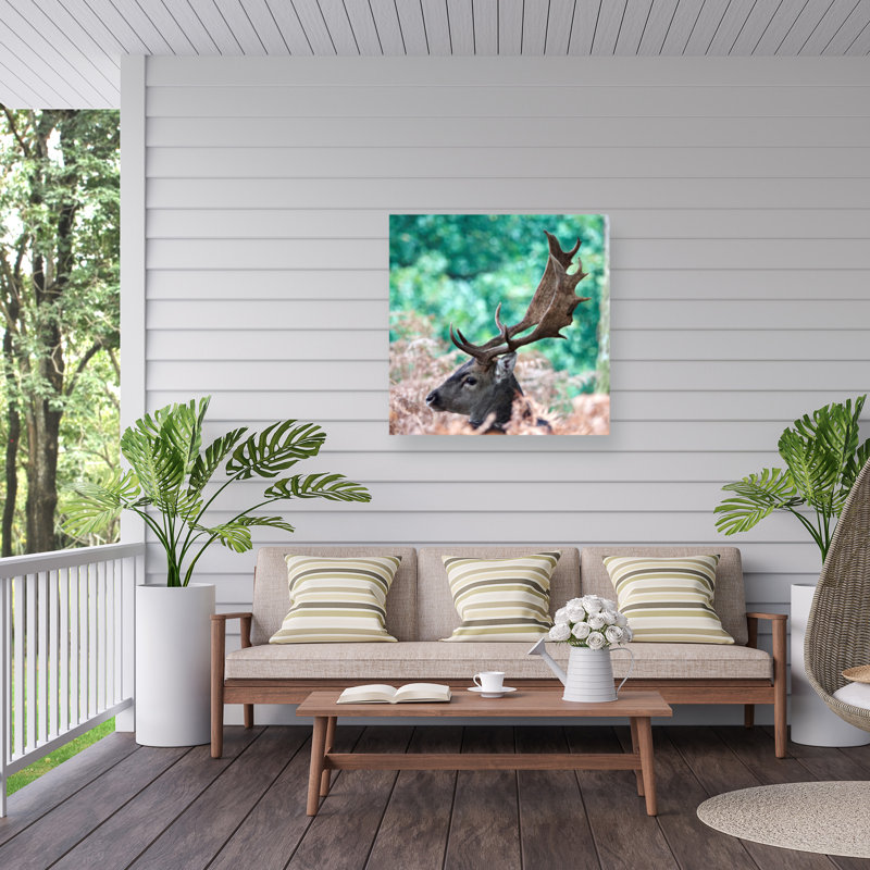 Debmercury   Fallow Stag Deer. Outdoor  Canvas, H 14 po x l 14 po