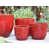 Rouge somptueux est en rupture de stock
