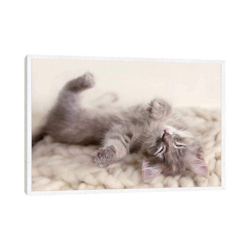 Carmella by Rachael Hale - Print on Canvas, 66.04 cm H x 45.72 cm W, White Framed