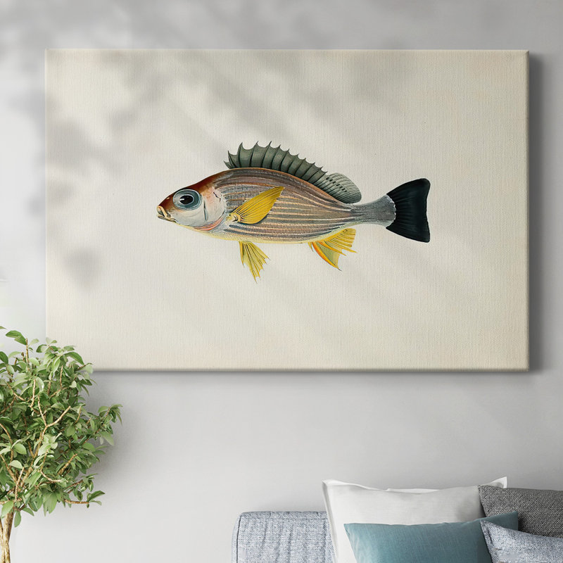 Toile tendue avec collection Tropical Fish Collection III