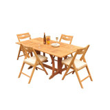 Surfliner Outdoor 5 - Piece Teak Dining Set