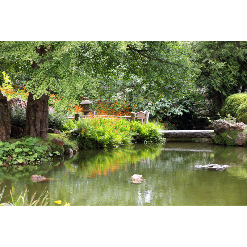 Park - Wrapped Canvas Print, 30cm H x 46cm W