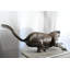 Grand décor de faune en aluminium accroupi Prowling Panther 59 po x 16 po x H 21 po