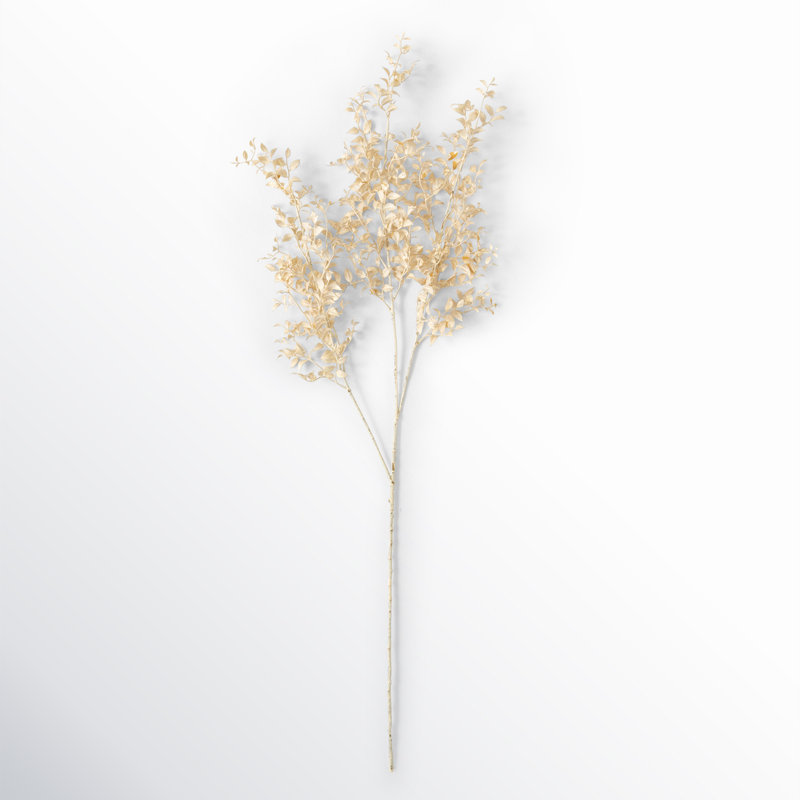 Smilax vaporisateur