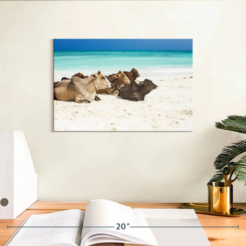 Crowle Zanzibar Beach Bétail, H 8 po x l 12 po