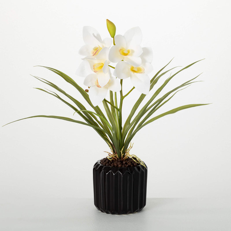 Arrangement cymbidium